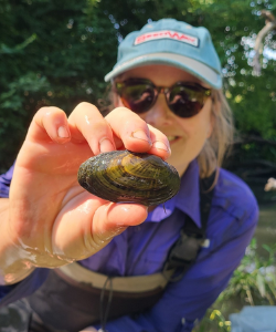 image for Vinsel, Rachel M